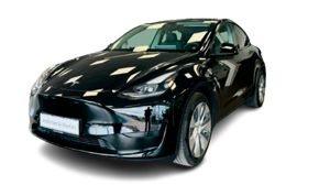 Tesla Model Y Sort